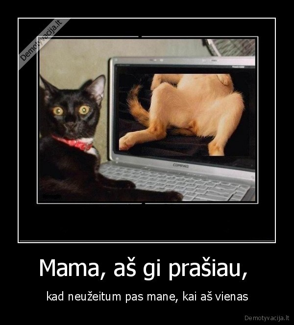 Mama, aš gi prašiau, 