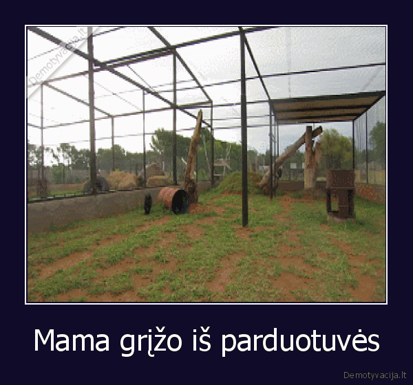 Mama grįžo iš parduotuvės