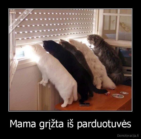 Mama grįžta iš parduotuvės