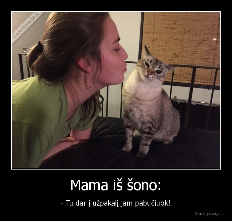 katinai,katinu, buciavimas,augintiniai,kates,buciniai,mama