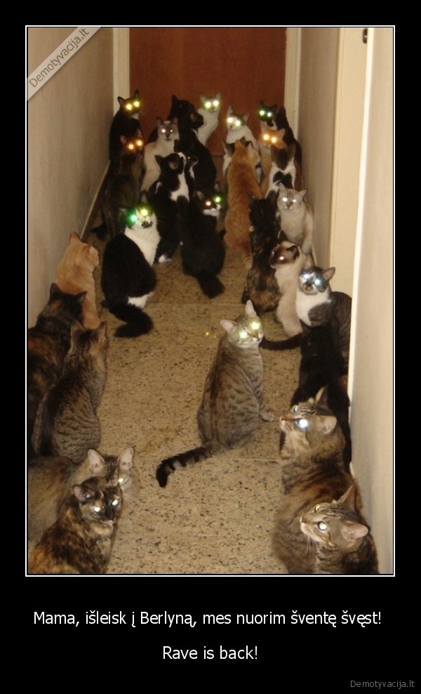 berlynas,rave, is, back