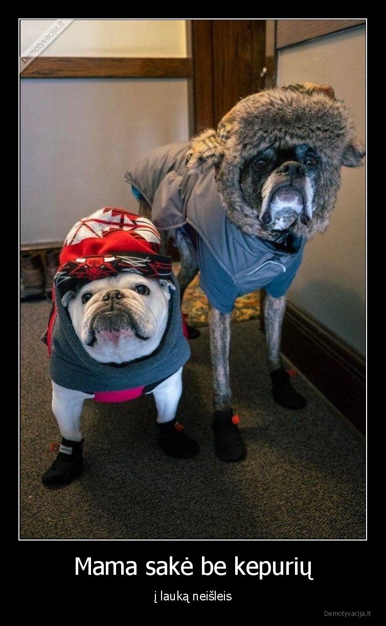 sunys,laukas,salta,rubai