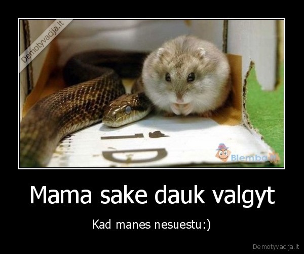 Mama sake dauk valgyt