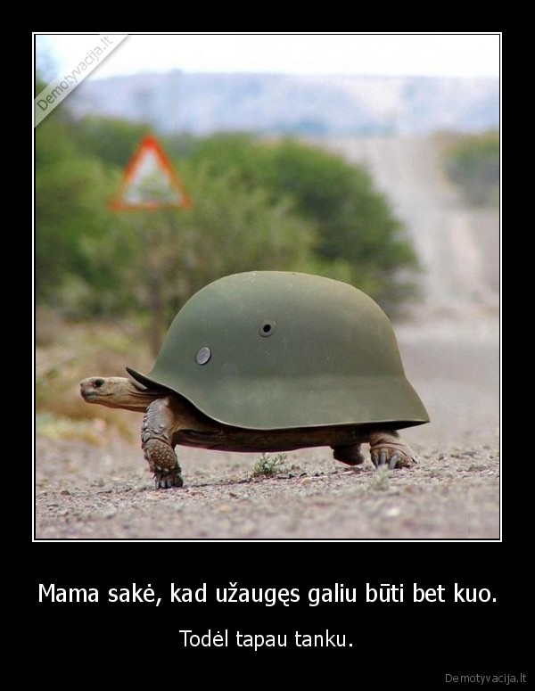 vezlys,vezlys, su, salmu,vezlys, tankas,tankas,juokingi, gyvunai