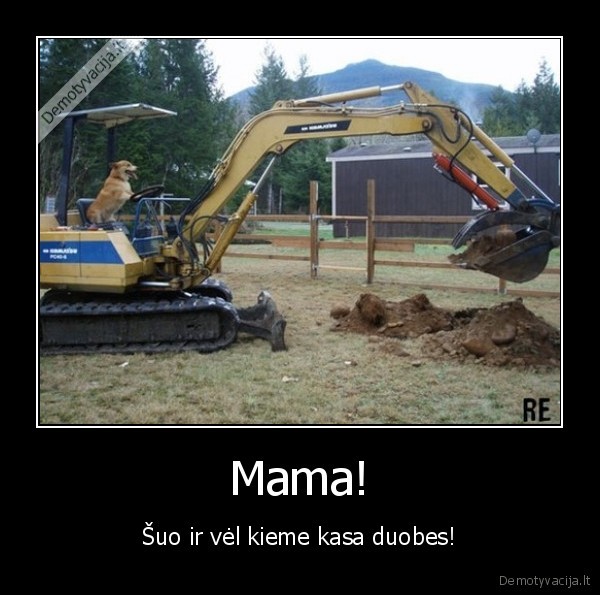 suo, prie, ekskavatoriaus,juokingas, suo