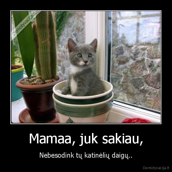 Mamaa, juk sakiau,