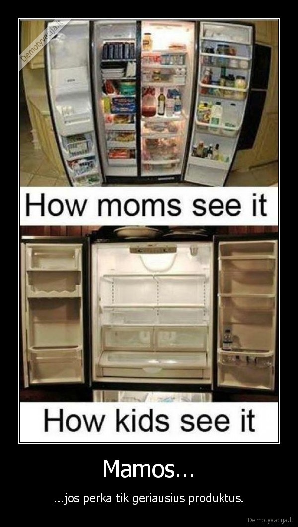 ale, noreciau, kazko, nueinu, i, saldytuva, o, ten, stovi, lasiniai