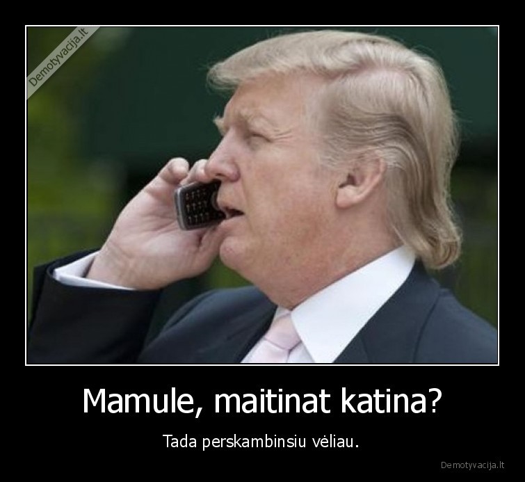 mama,skambutis,telefonas,katinas,trumpas