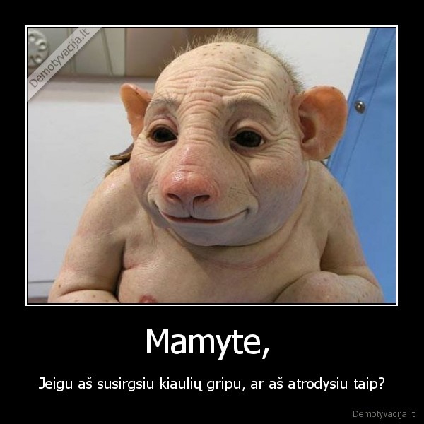 Mamyte, 