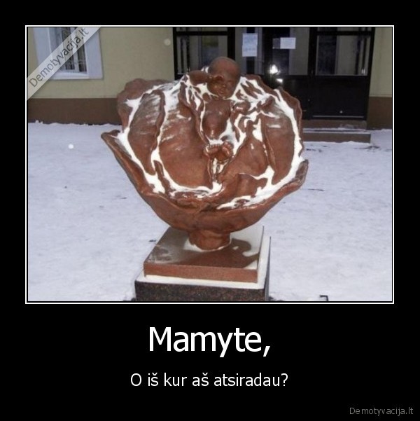 Mamyte,