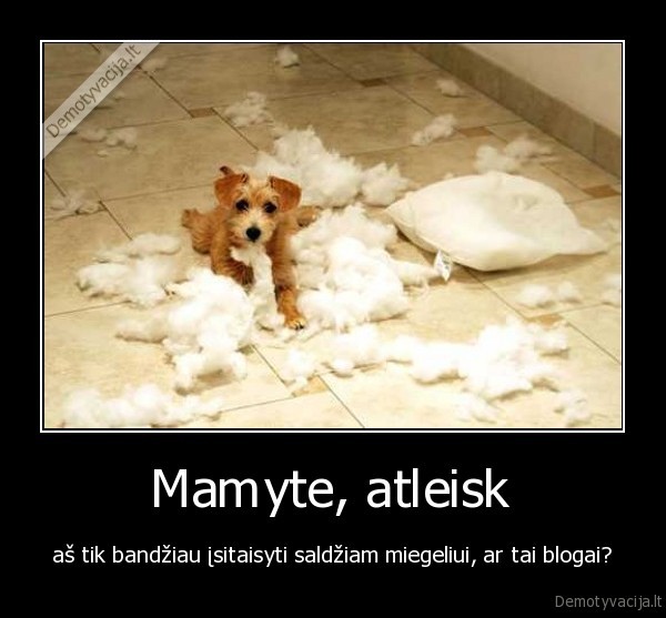 Mamyte, atleisk