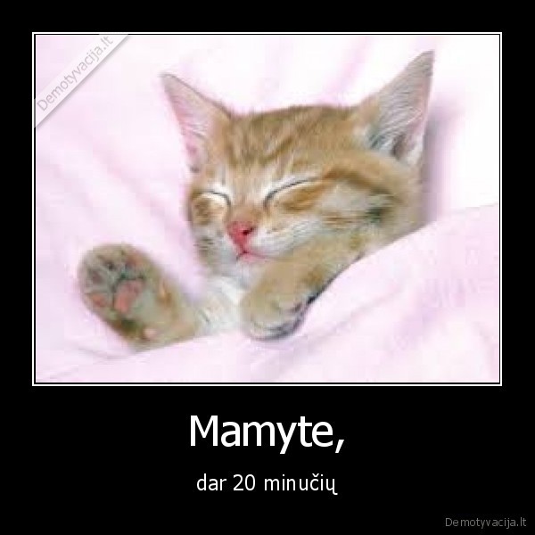 Mamyte,