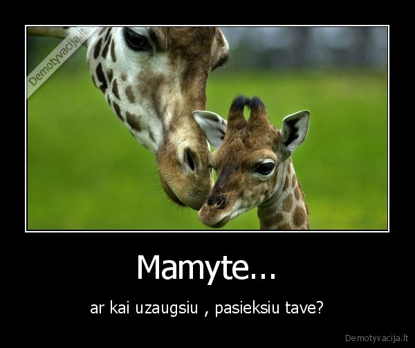 Mamyte...