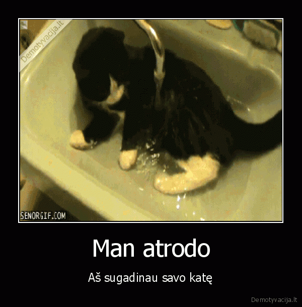 kate, megsta, vandeni,kate, megsta, praustis