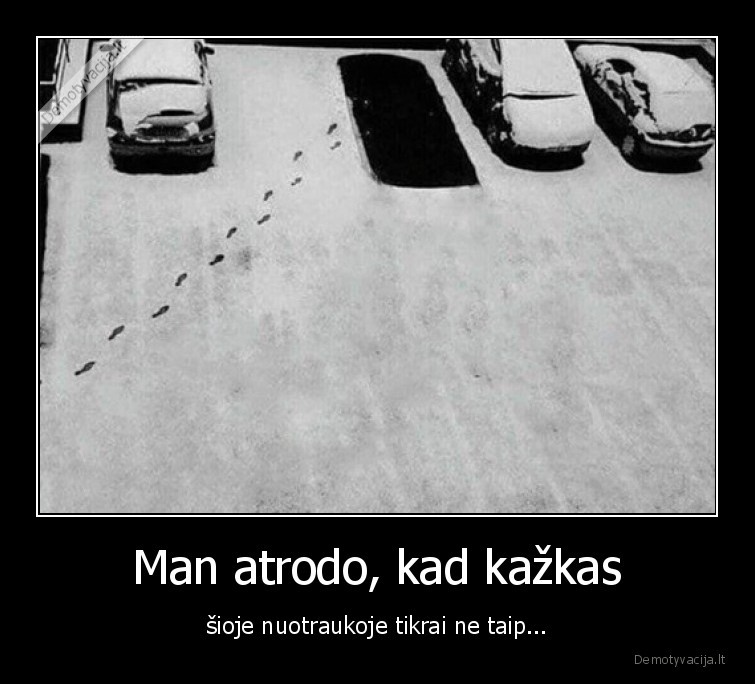 sniegas,masina,dingo