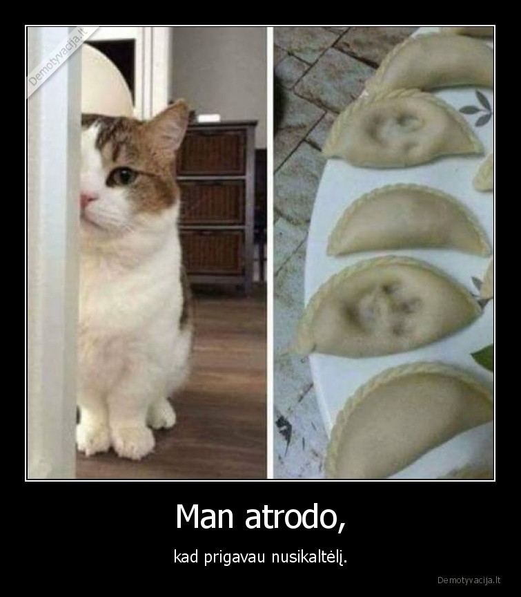 kate,katinas,nusikaltelis