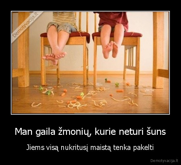 suo,maistas, ant, grindu