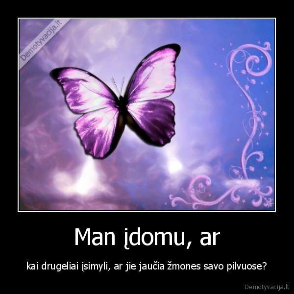 meile, drugeliai, guud