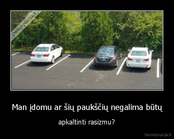 pauksciai, rasistai,juoda, masina,apsiko, masina