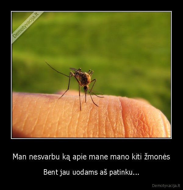 uodai,patikimas, zmonems