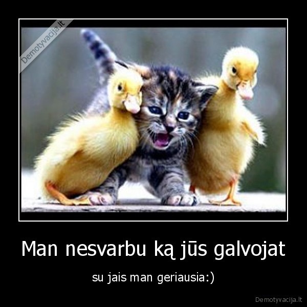 Man nesvarbu ką jūs galvojat