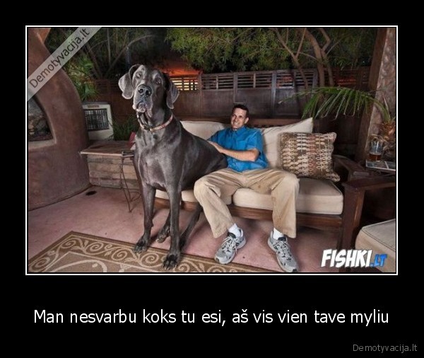 suo,didziulis,niekur, netelpa