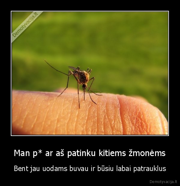 uodai,patrauklumas,patikimas, zmonems