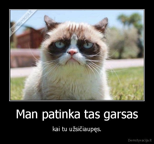 katinas,uzisciaupti,garsas,tyla