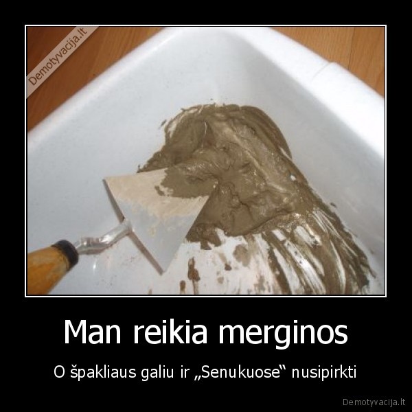 Man reikia merginos