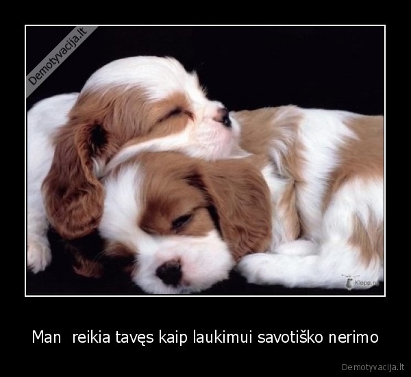 Man  reikia tavęs kaip laukimui savotiško nerimo