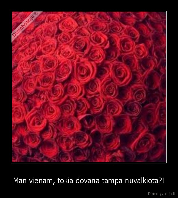 Man vienam, tokia dovana tampa nuvalkiota?!