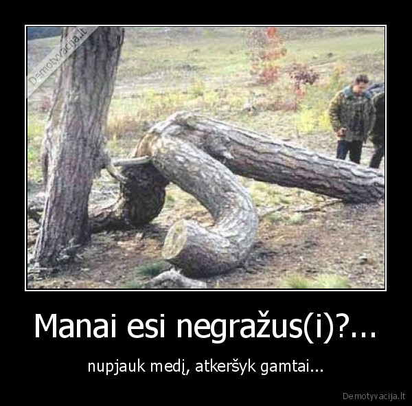 Manai esi negražus(i)?...