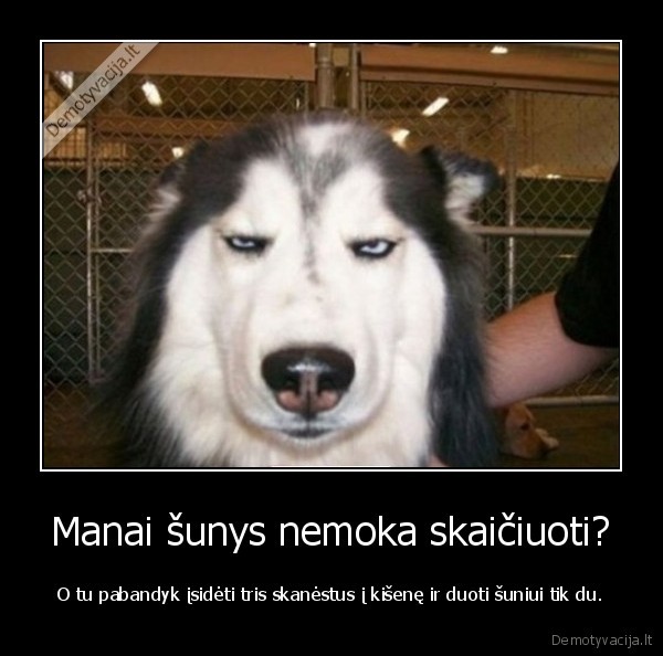 sunu, skanestai,protingi, sunys