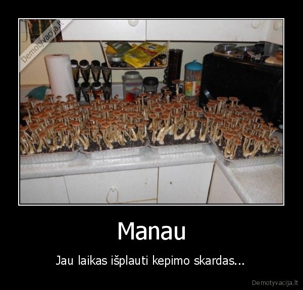 grybai, auga,kepimo, skardos,indu, plovimas