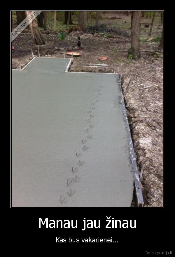 antis,antiena,grindinys,pedsakai