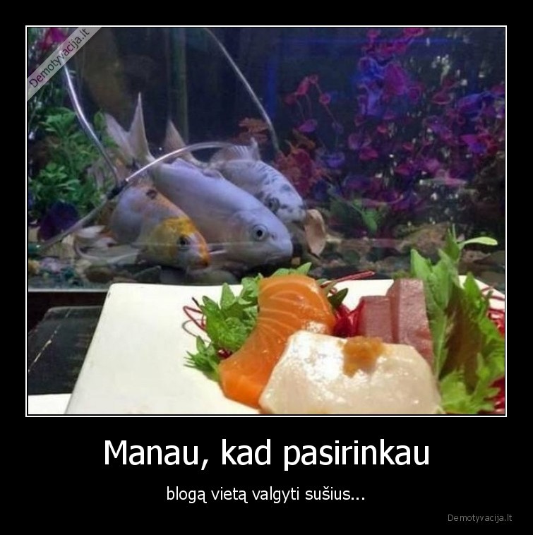 susiai,zuvys,restoranas,akvariumas