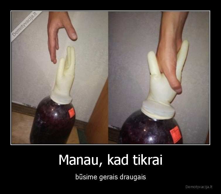 draugai,geri,vynas,naminis