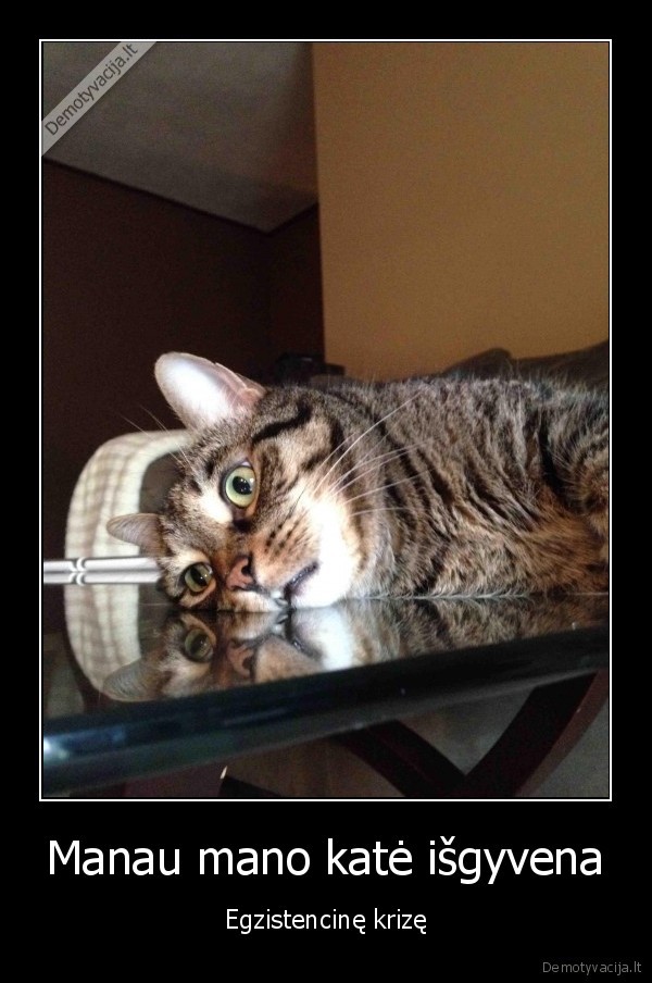 krize,egzistencializmas