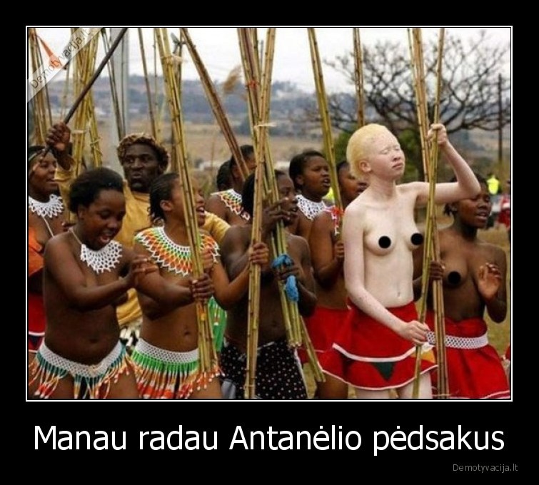 antanelis,afrika,vaikai,baltas