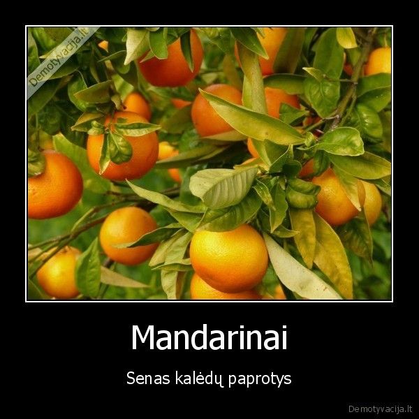 madarinai, kaledos, paprotys, senas, paprotys