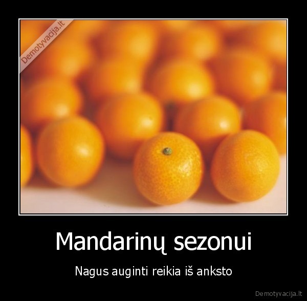 Mandarinų sezonui