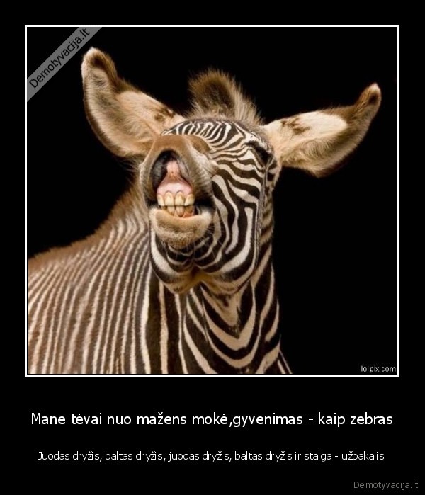 zebras,uzpakalis,dryzis