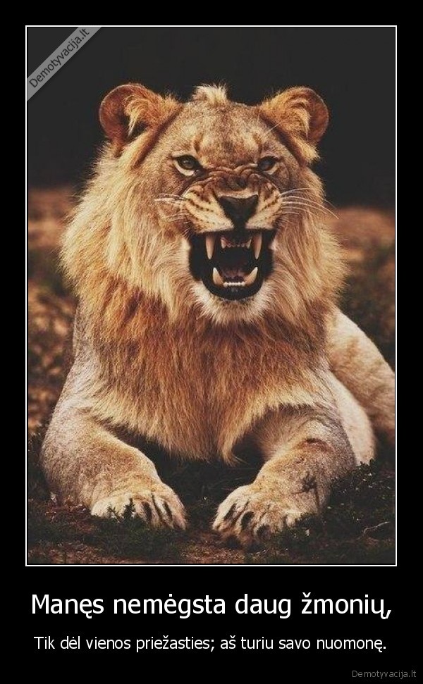 Manęs nemėgsta daug žmonių,