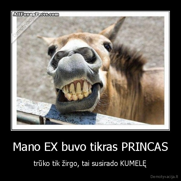 meile, princas, kumele, ex