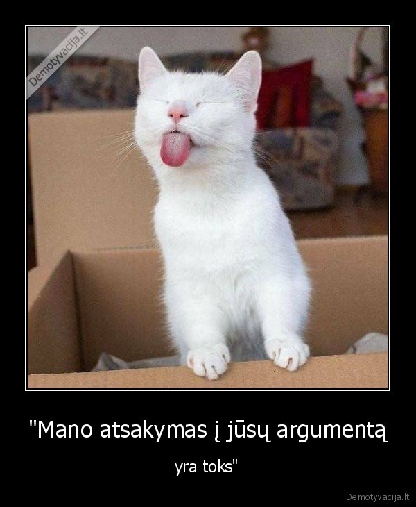 kate,katinas,argumentas