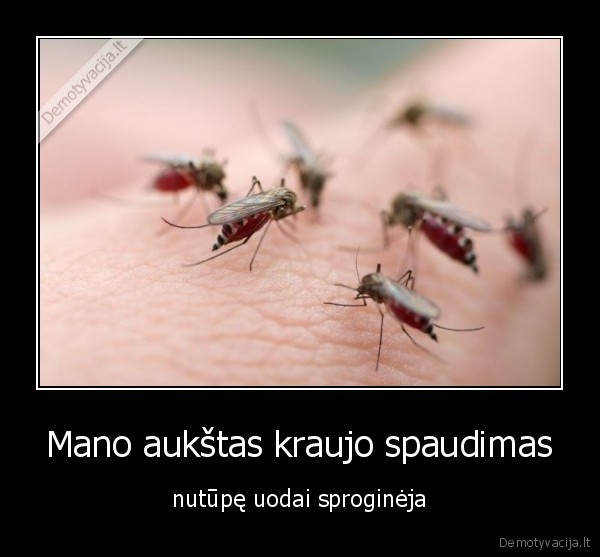 Mano aukštas kraujo spaudimas