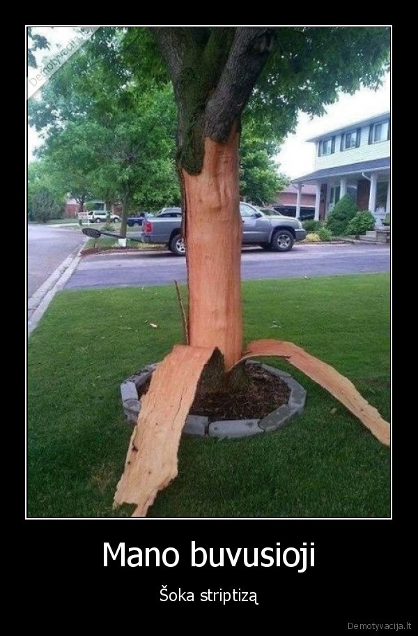 striptizas,medis,nusilupusi, zieve