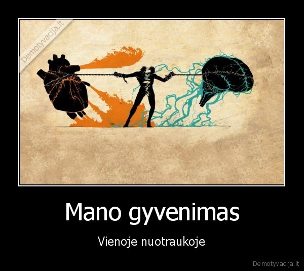 gyvenimas,pasirinkimai,sirdis, ar, protas