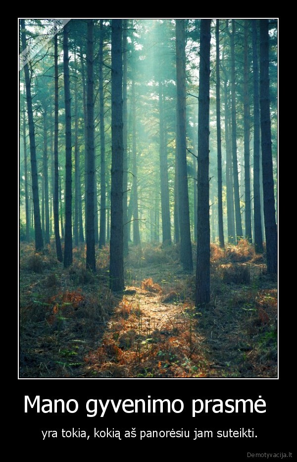 Mano gyvenimo prasmė 