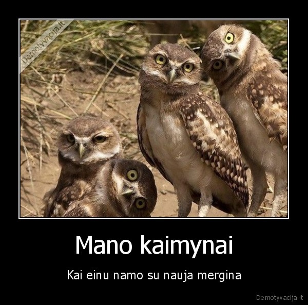 peledos,kaimynai,nauja, mergina